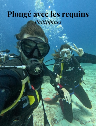 Travel planner à Beaune, 21200 voyage sur mesure, Philippines, plongés requins renard